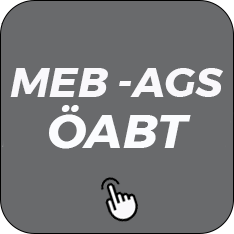MEB AGS ÖABT Kitapları